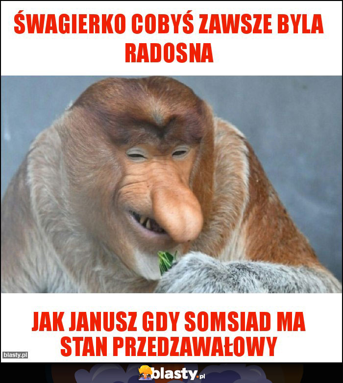 Śwagierko cobyś zawsze byla radosna