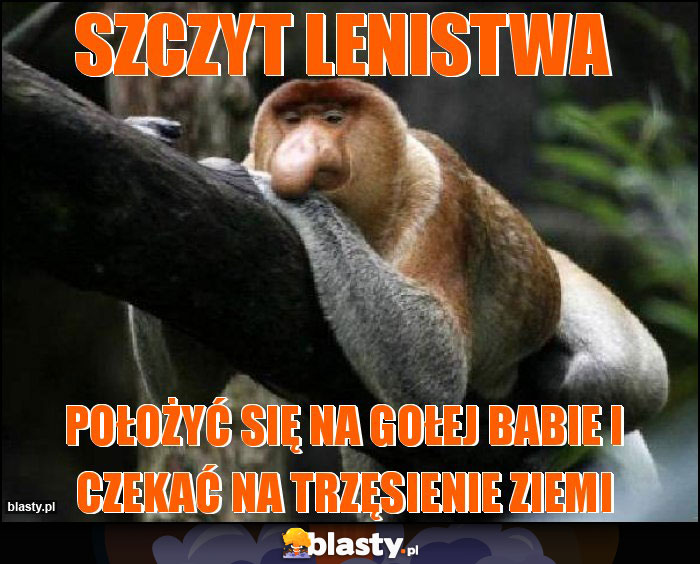 Szczyt lenistwa