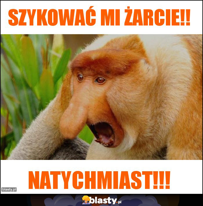 Szykować mi żarcie!!