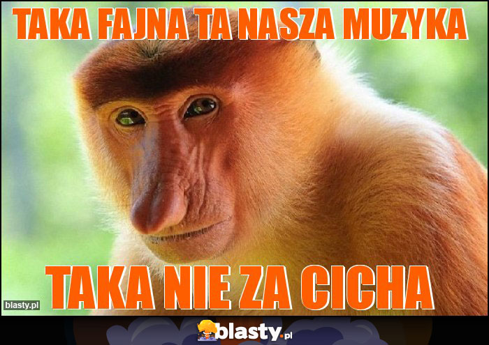 Taka fajna ta nasza muzyka