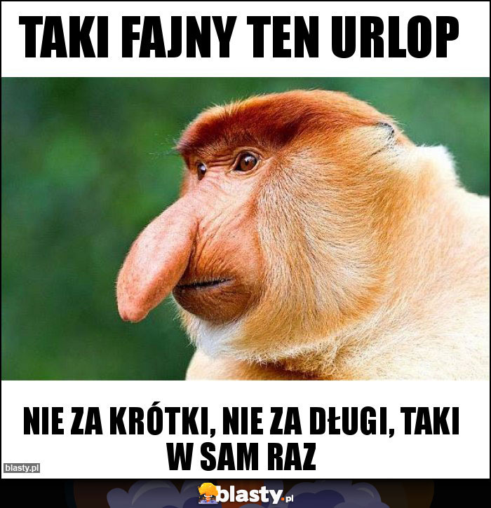 TAKI FAJNY TEN URLOP