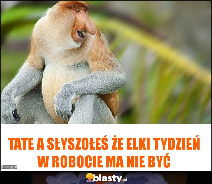 Tate A słyszołeś że Elki tydzień w robocie ma nie być