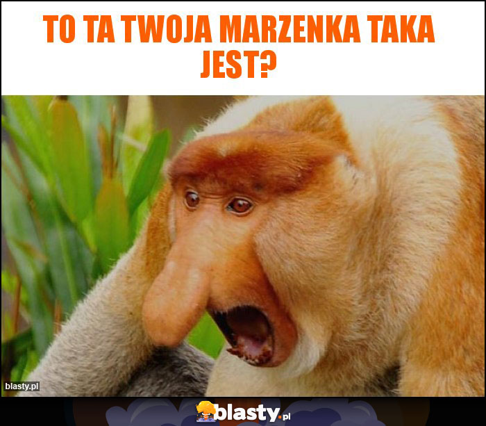 To ta Twoja Marzenka taka jest?