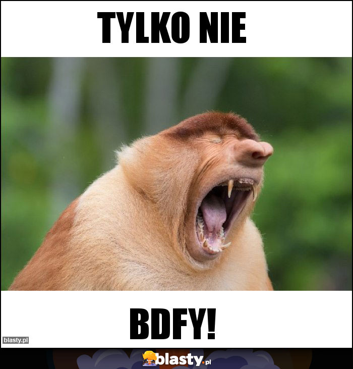 Tylko nie