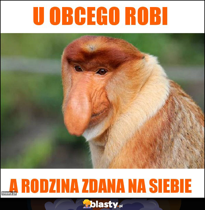 U obcego robi