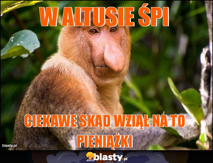 w altusie śpi