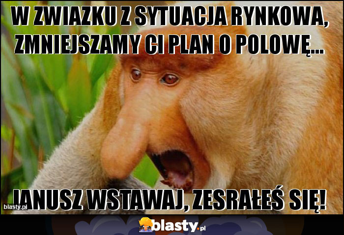 W ZWIAZKU Z SYTUACJA RYNKOWA, ZMNIEJSZAMY CI PLAN O POLOWĘ...