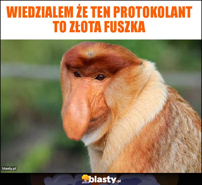 Wiedzialem że ten protokolant to złota fuszka