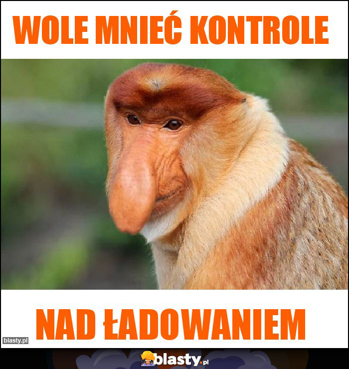 wole mnieć kontrole