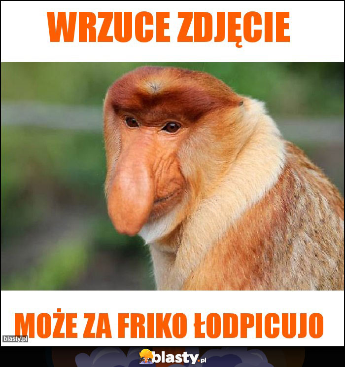 wrzuce zdjęcie