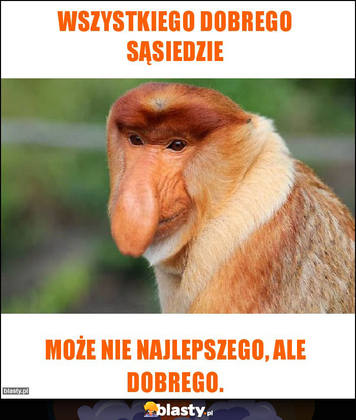 Wszystkiego dobrego sąsiedzie