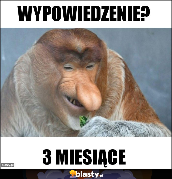 Wypowiedzenie?