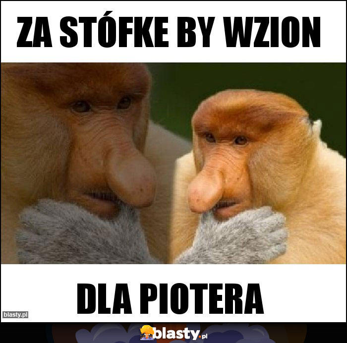 Za stófke by wzion