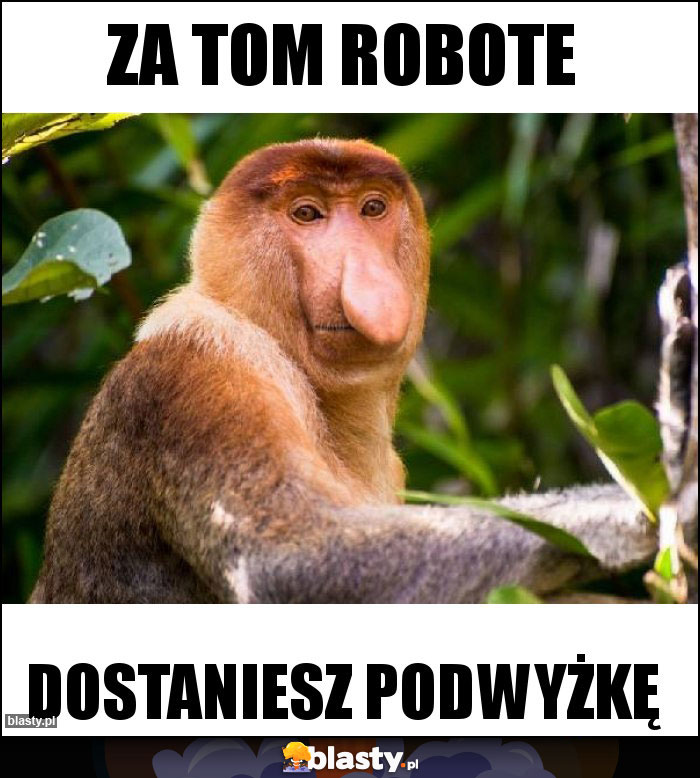 ZA TOM ROBOTE