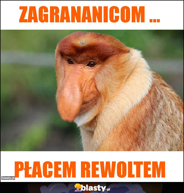 Zagrananicom ...