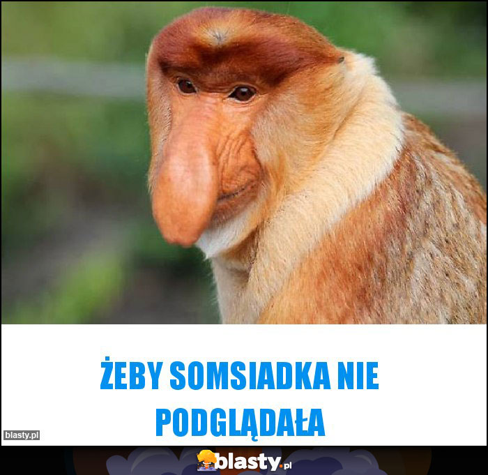 Żeby somsiadka nie podglądała