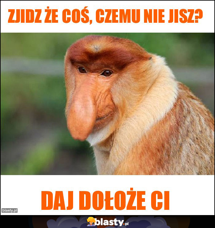 zjidz że coś, czemu nie jisz?