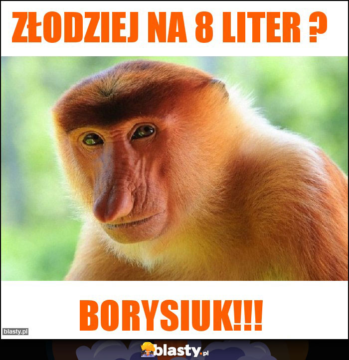 Złodziej na 8 liter ?