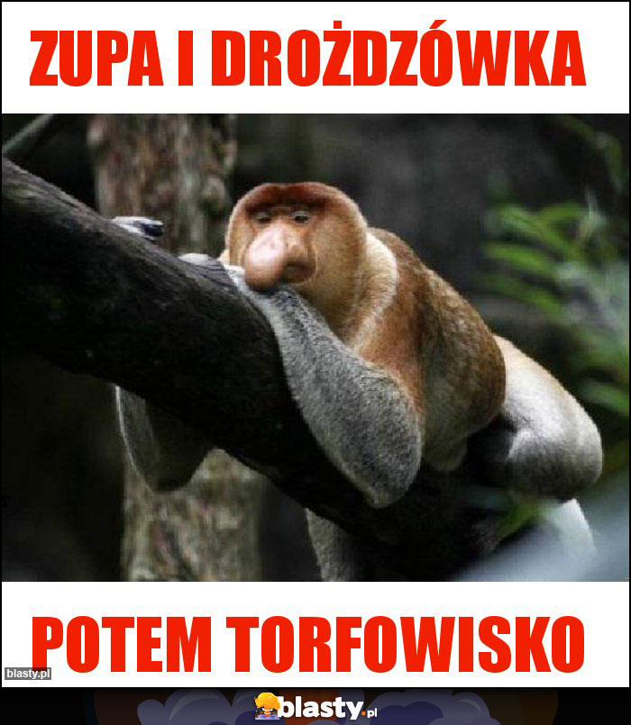 ZUPA I DROŻDZÓWKA