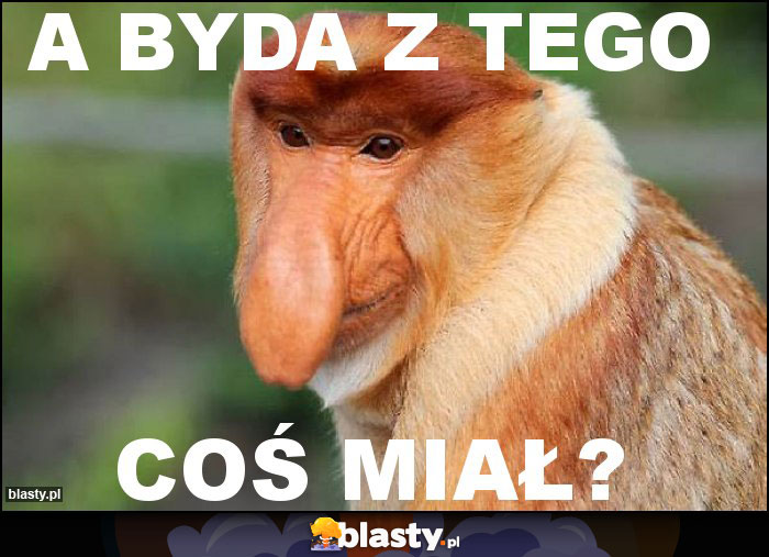 A byda z tego