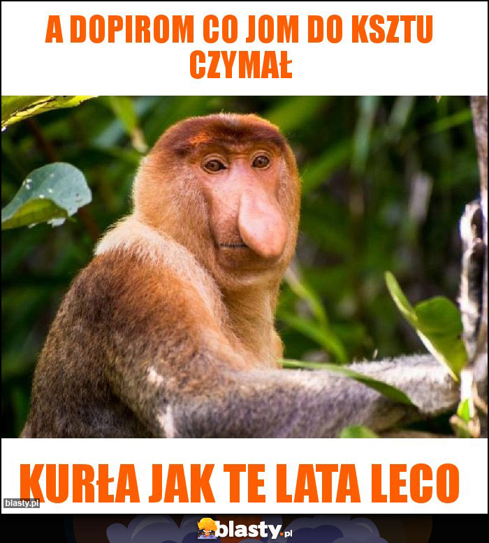 A dopirom co jom do ksztu czymał