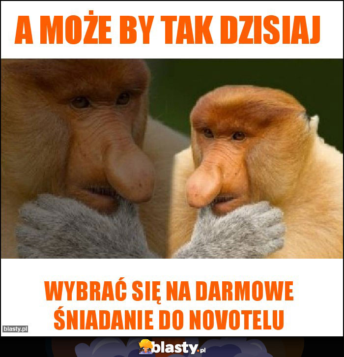 A może by tak dzisiaj