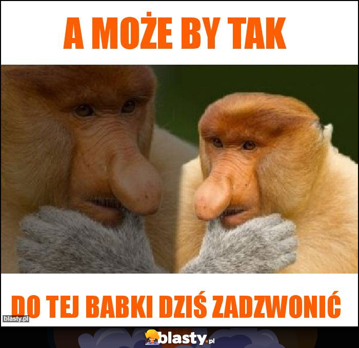 A może by tak