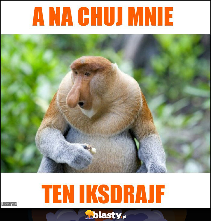 a na chuj mnie