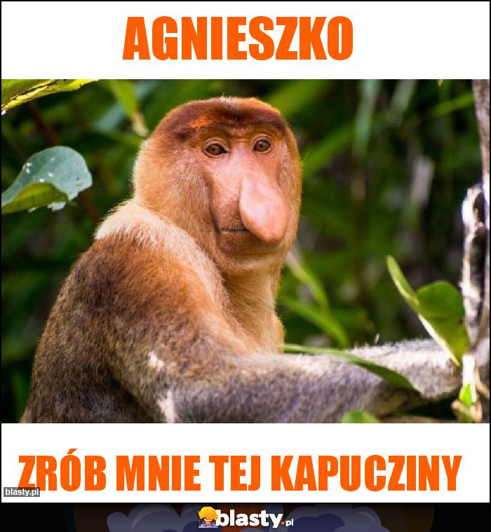 Agnieszko