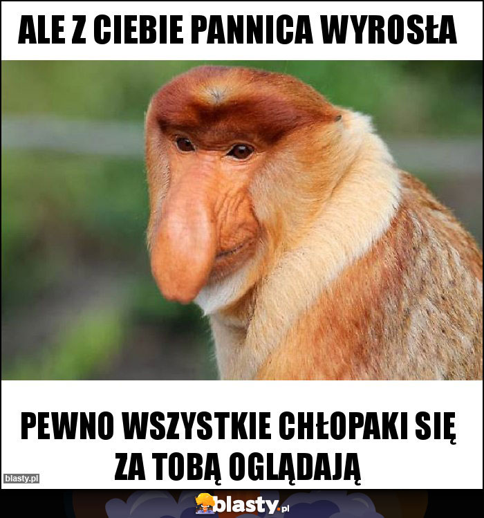 Ale z ciebie pannica wyrosła