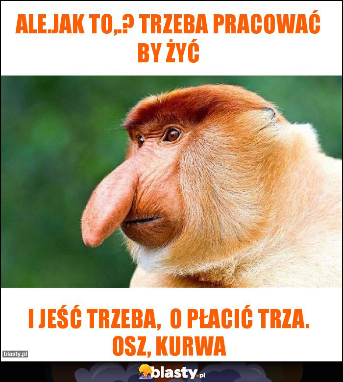 Ale.jak to,.? Trzeba pracować by żyć