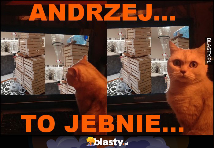 Andrzej...