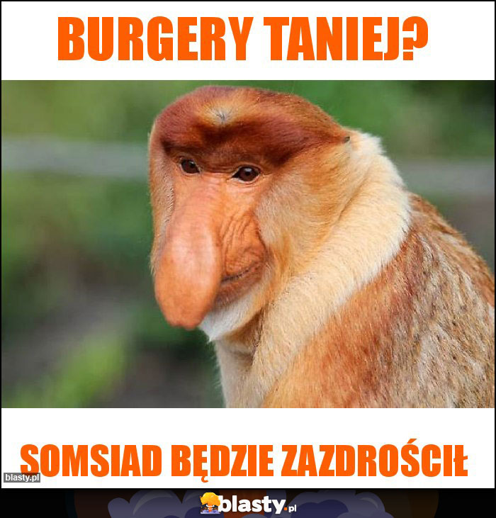 Burgery taniej?