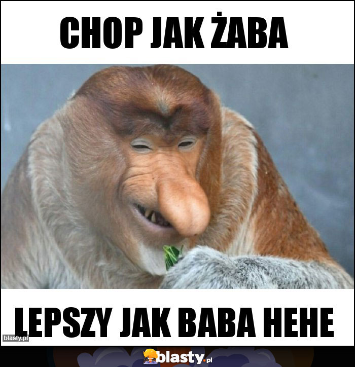 Chop jak żaba