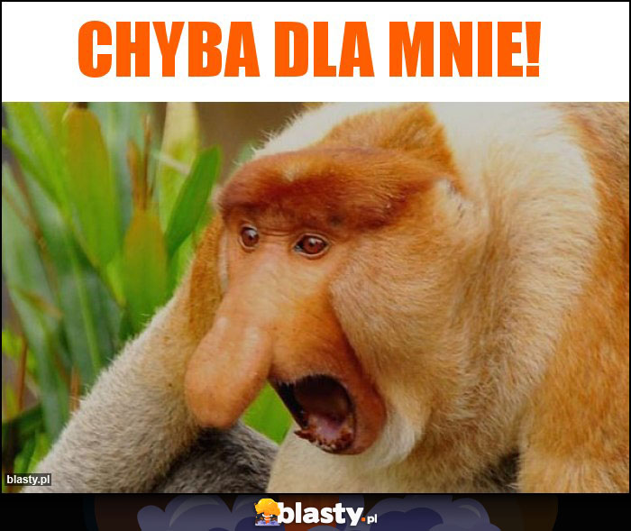 Chyba dla mnie!