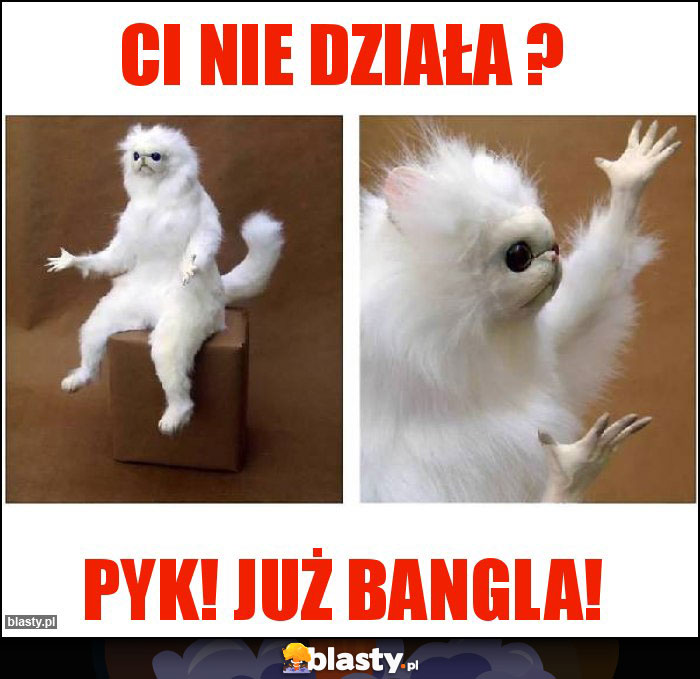 CI nie działa ?