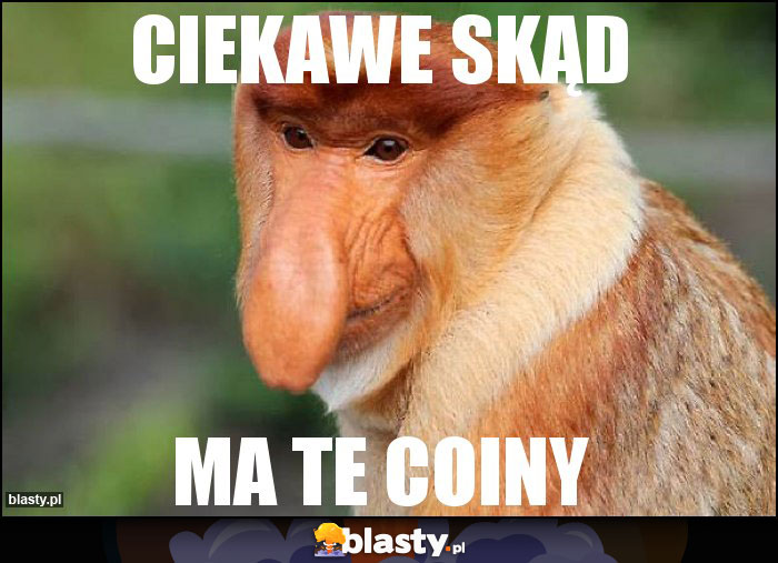 Ciekawe skąd