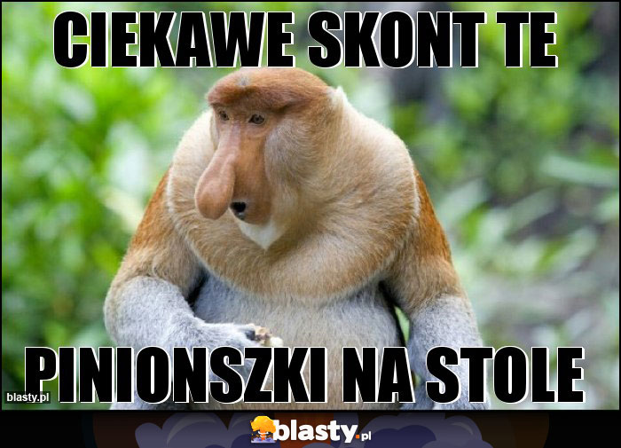 Ciekawe skont te