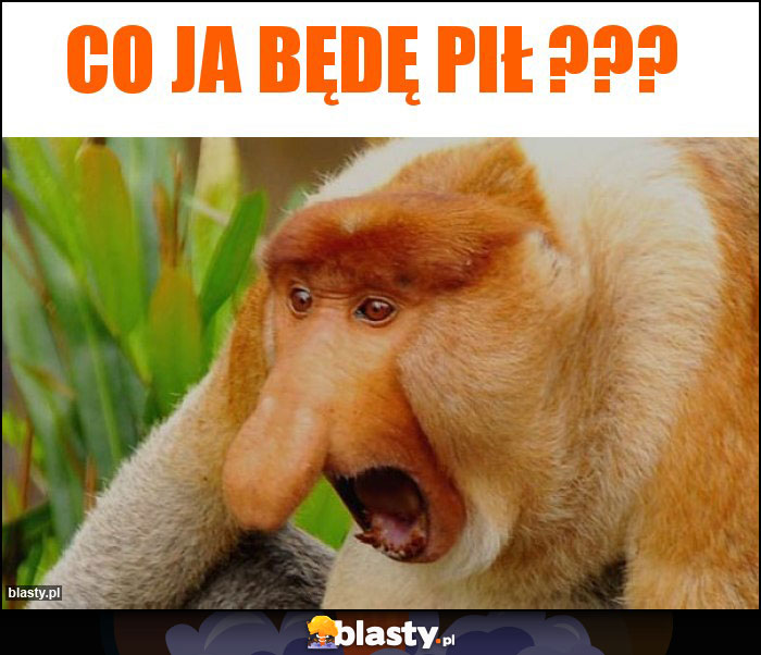 Co ja będę pił ???