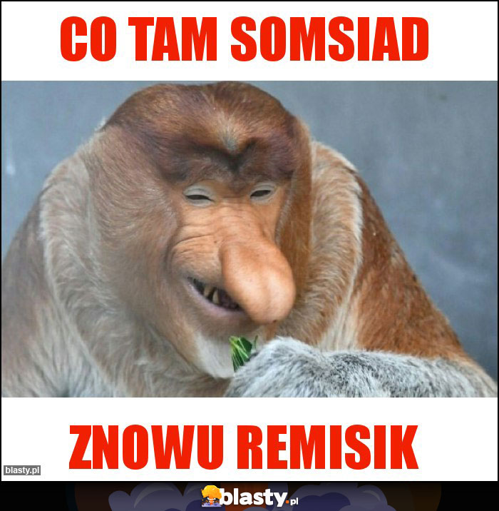 Co tam somsiad