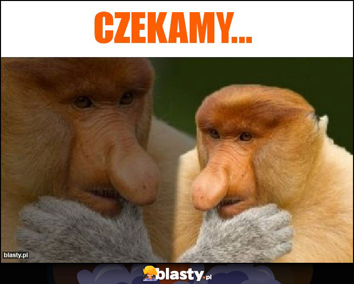 Czekamy...