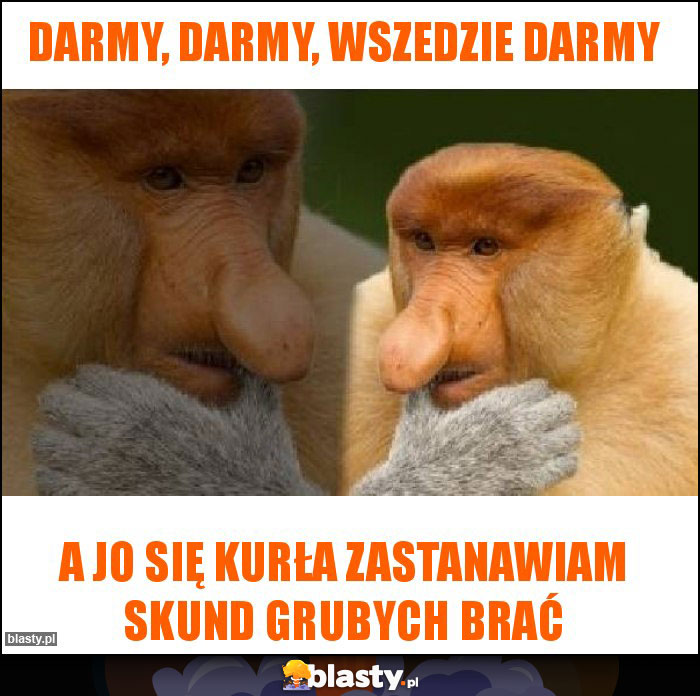 Darmy, darmy, wszedzie darmy