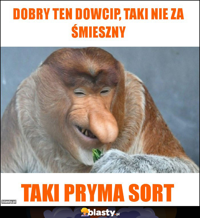 Dobry ten dowcip, taki nie za śmieszny