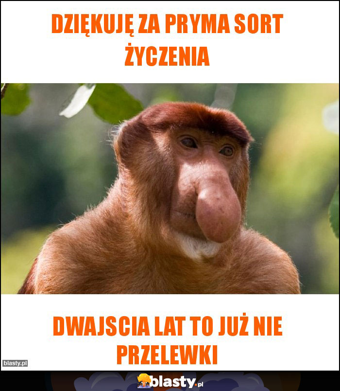 Dziękuję za pryma sort życzenia