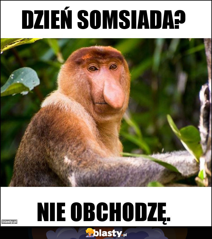 Dzień somsiada?