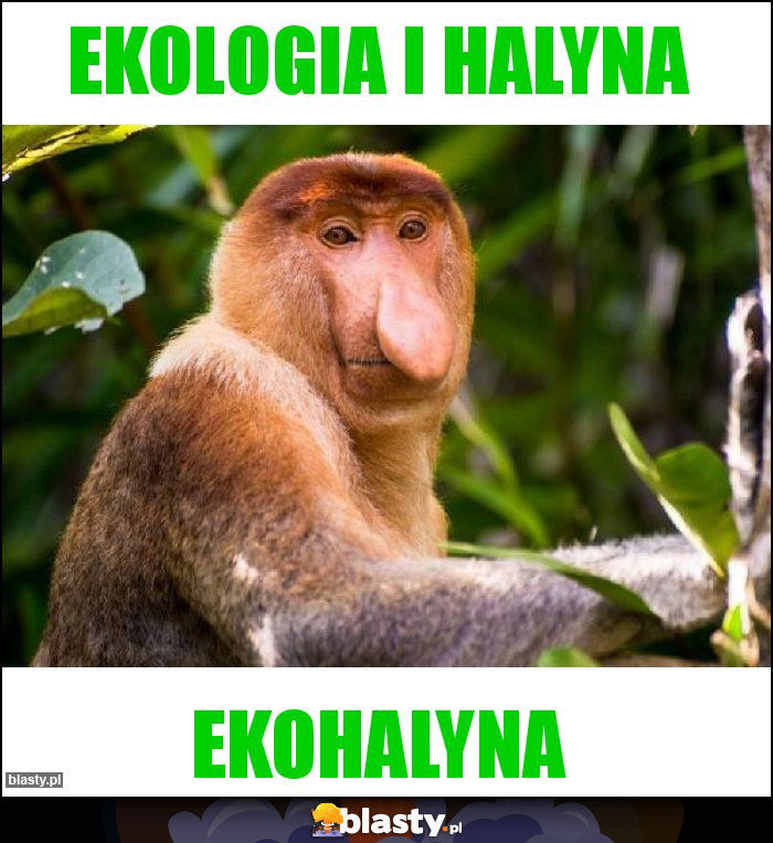 Ekologia i Halyna