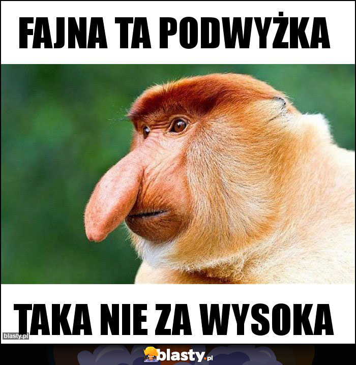 Fajna ta podwyżka