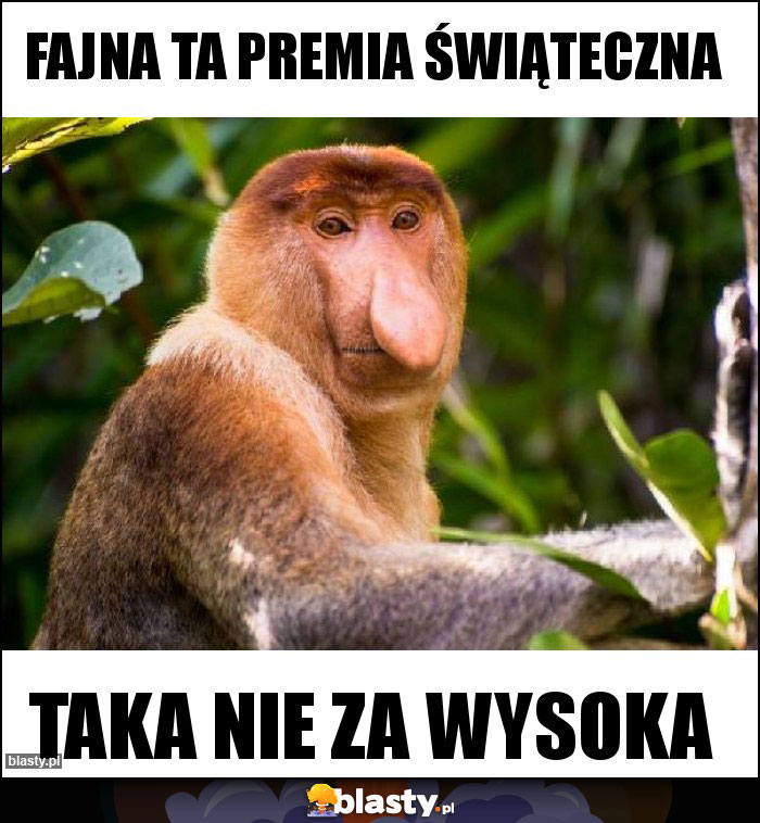 Fajna ta premia świąteczna