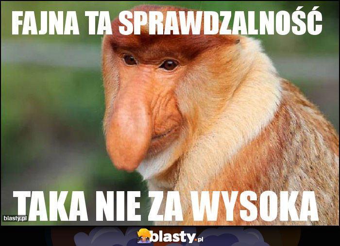 fajna ta sprawdzalność