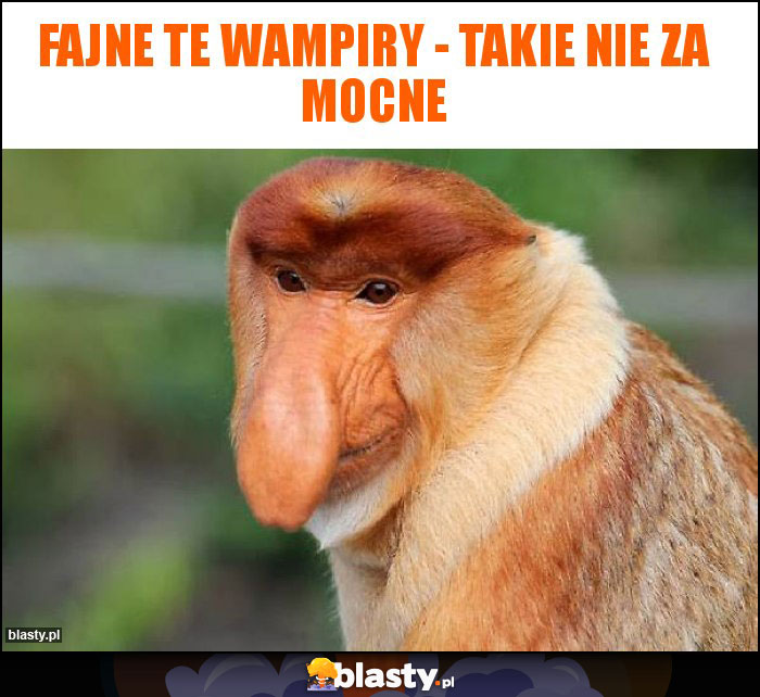 Fajne te wampiry - takie nie za mocne